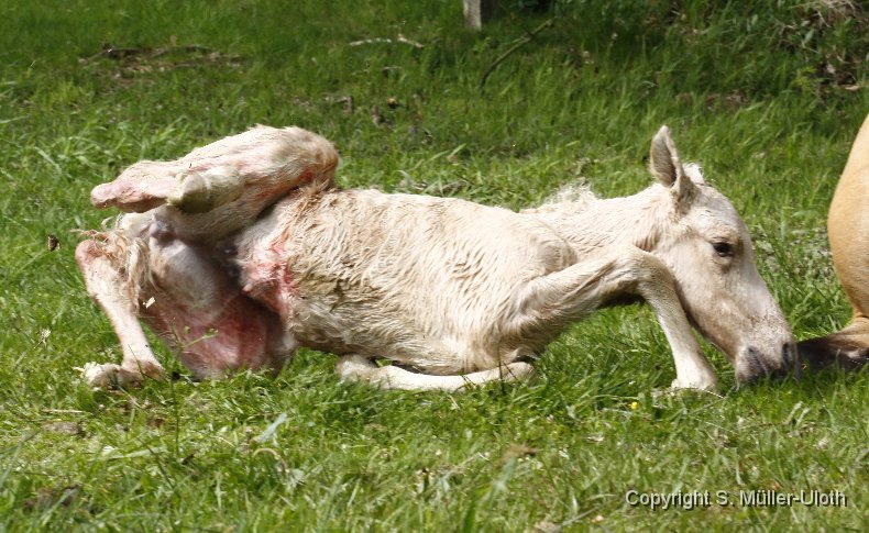 Hjoerdis 19 Min alt.JPG